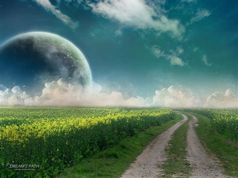 dream pathway photos|200+ Free Dream Path & Path Images .